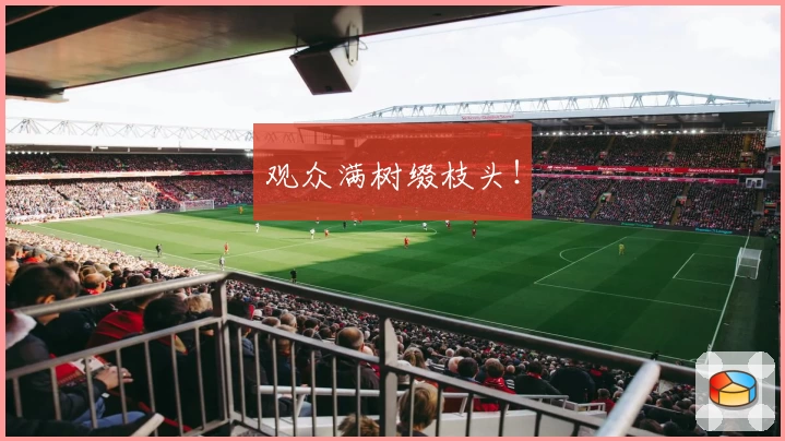 观众满树缀枝头！