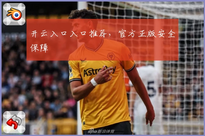 开云入口入口推荐，官方正版安全保障