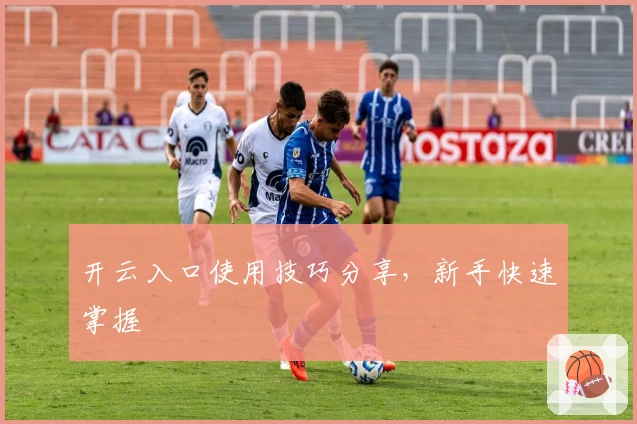 开云入口使用技巧分享，新手快速掌握