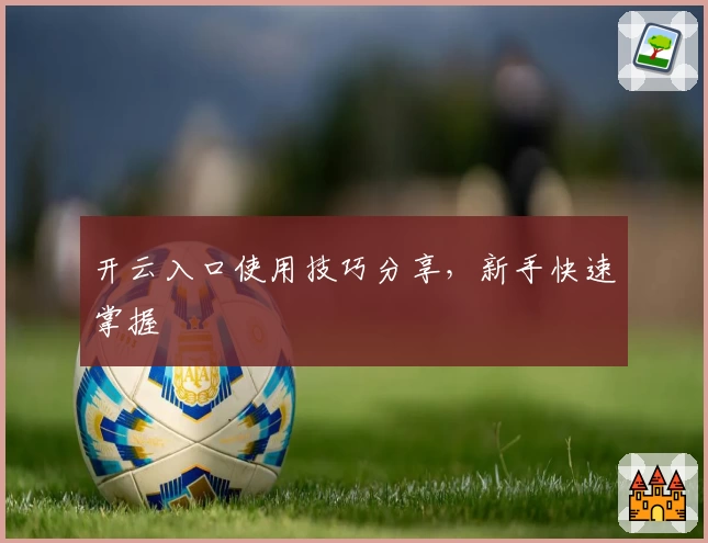 开云入口使用技巧分享，新手快速掌握