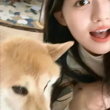海边的风